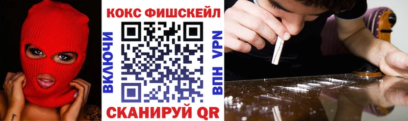 Купить закладки  Приморск  Кокаин VHQ 