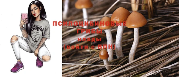 а пвп мука Карталы