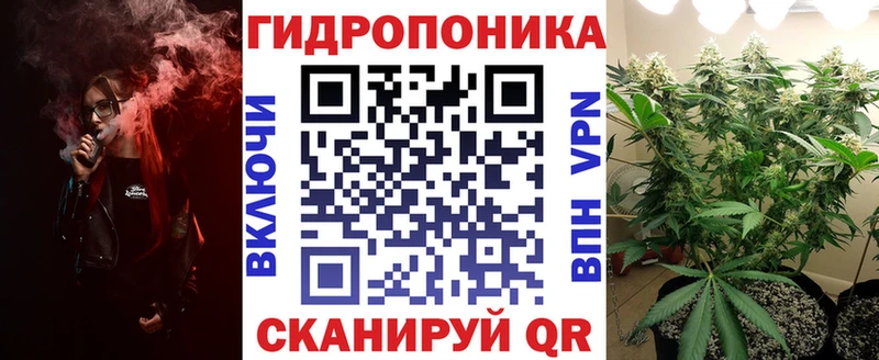 Каннабис VHQ  Купить где  Приморск 